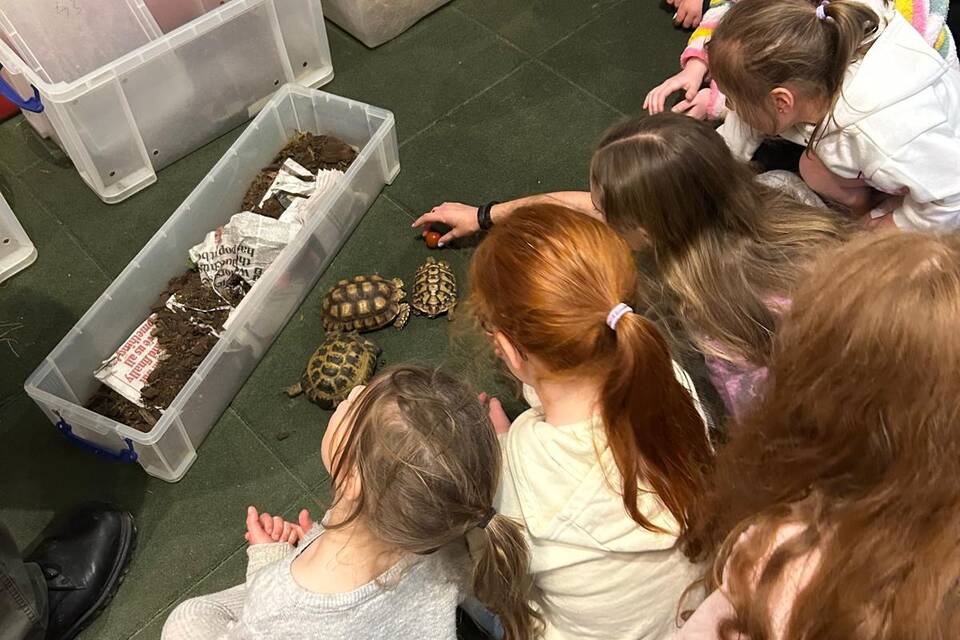 PHOTO 2025 04 21 14 16 20